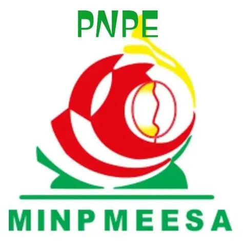 PNPE MINPMEESA
