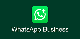 WhatsApp Business Pro